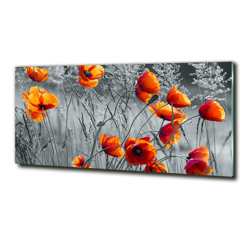 Tableau photo sur verre Coquelicots des champs