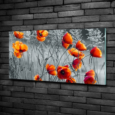 Tableau photo sur verre Coquelicots des champs