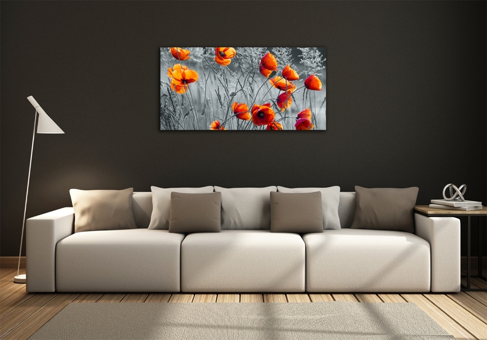 Tableau photo sur verre Coquelicots des champs