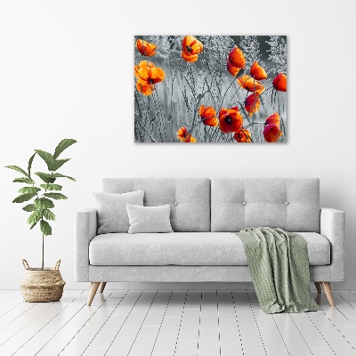 Tableau photo sur verre Coquelicots des champs