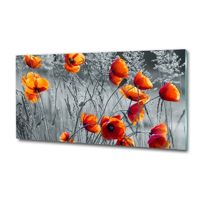 Tableau photo sur verre Coquelicots des champs