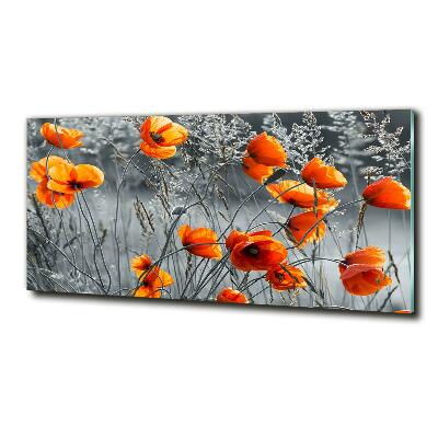 Tableau imprimé sur verre Coquelicots des champs