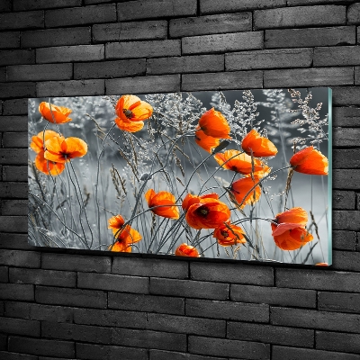 Tableau imprimé sur verre Coquelicots des champs