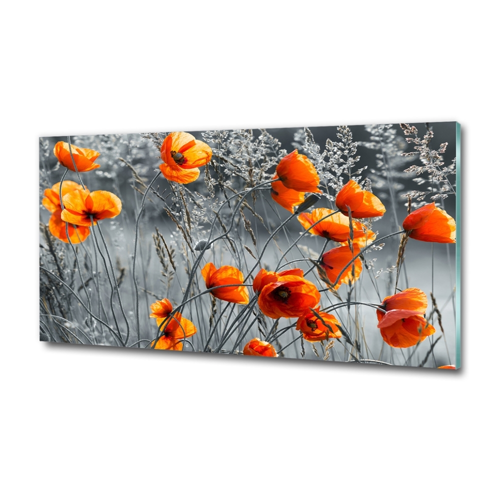 Tableau imprimé sur verre Coquelicots des champs