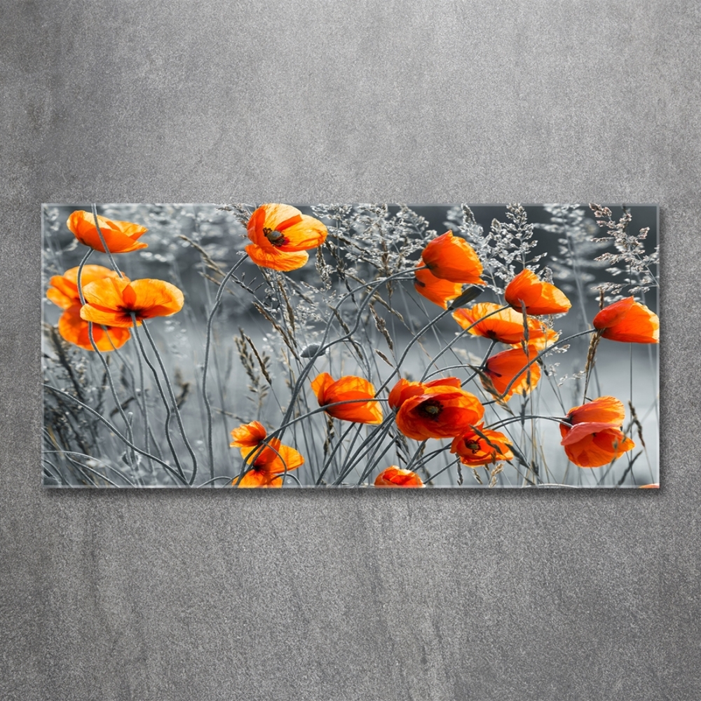 Tableau imprimé sur verre Coquelicots des champs