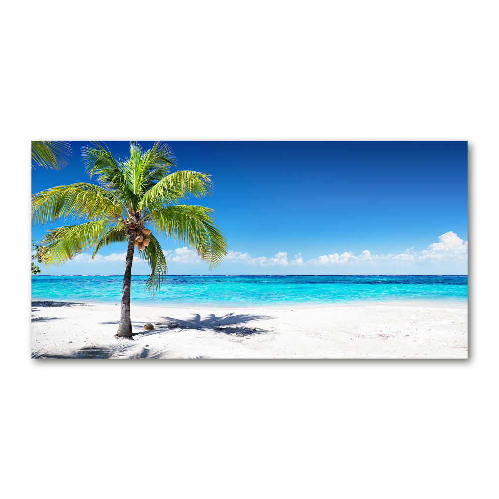 Tableau photo sur verre Plage tropicale