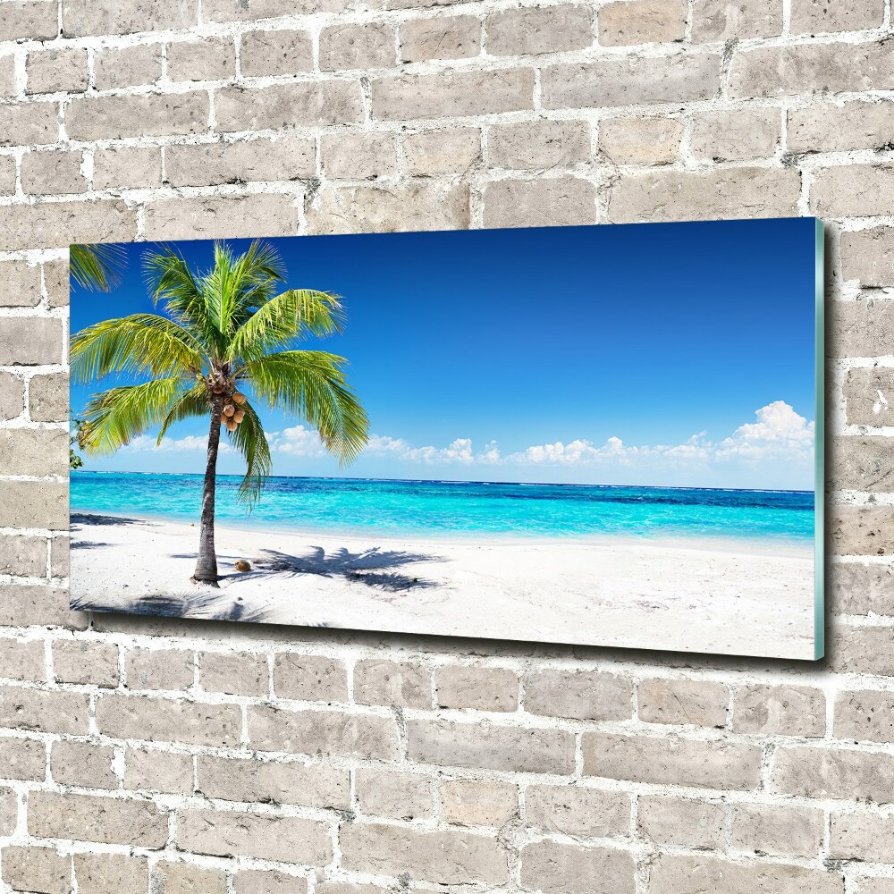 Tableau photo sur verre Plage tropicale