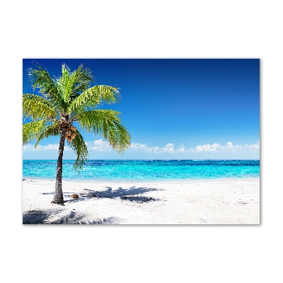 Tableau photo sur verre Plage tropicale