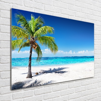 Tableau photo sur verre Plage tropicale