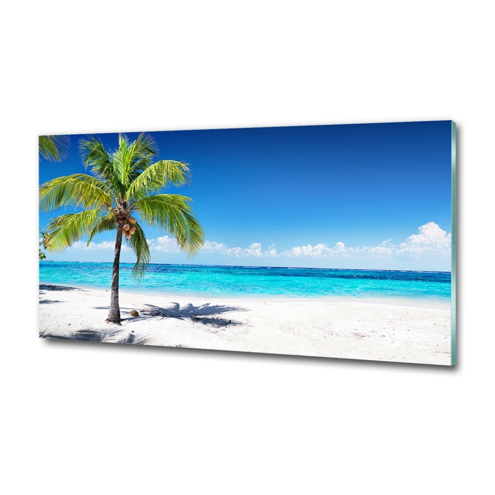 Tableau photo sur verre Plage tropicale