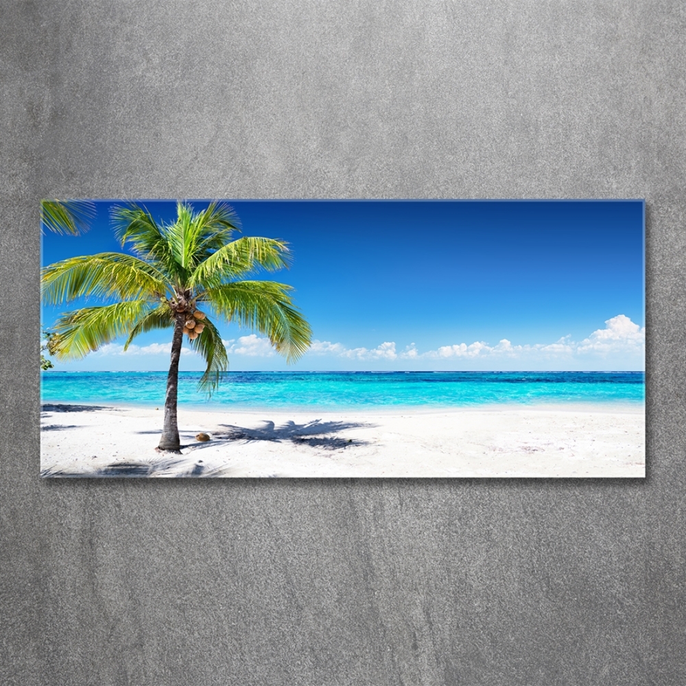 Tableau photo sur verre Plage tropicale