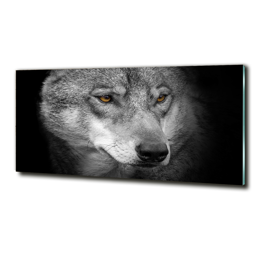 Tableau photo sur verre Loup