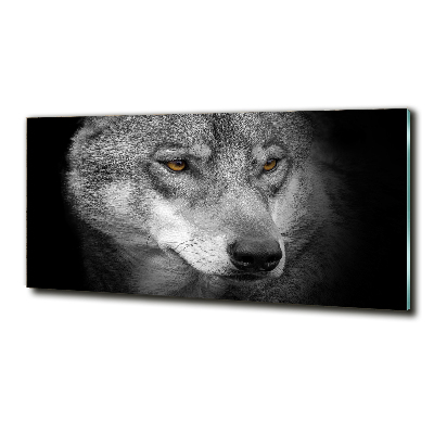 Tableau photo sur verre Loup