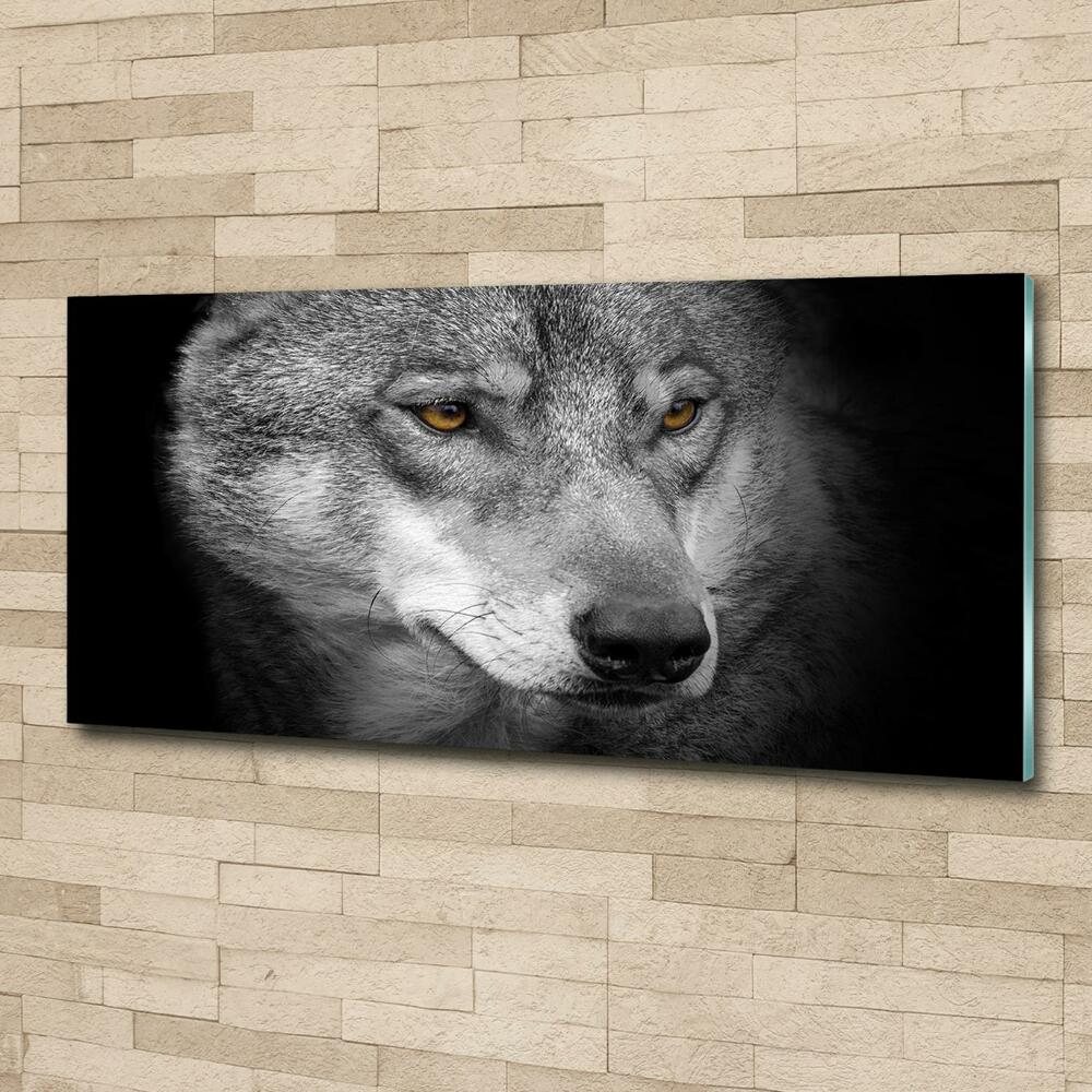 Tableau photo sur verre Loup