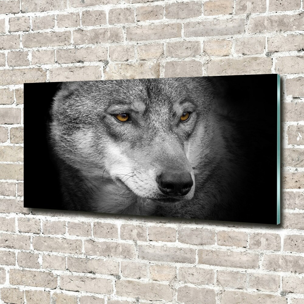 Tableau photo sur verre Loup