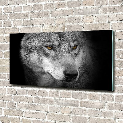 Tableau photo sur verre Loup