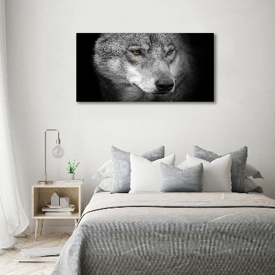 Tableau photo sur verre Loup