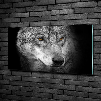 Tableau photo sur verre Loup