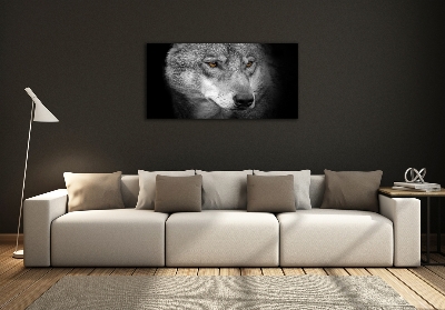 Tableau photo sur verre Loup