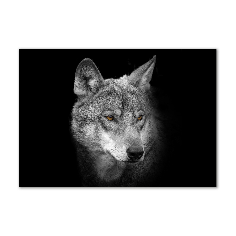 Tableau photo sur verre Loup