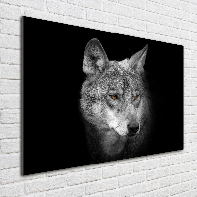 Tableau photo sur verre Loup