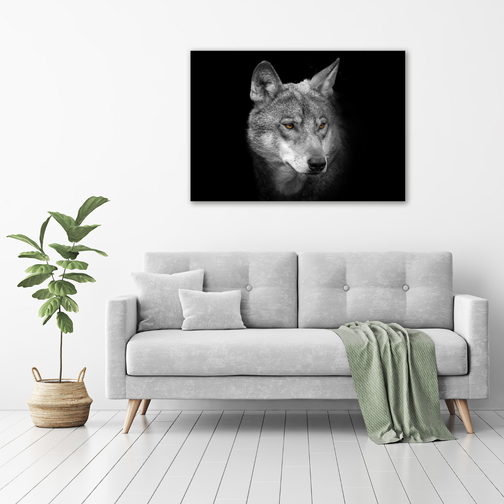 Tableau photo sur verre Loup