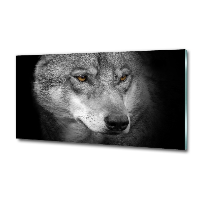 Tableau photo sur verre Loup