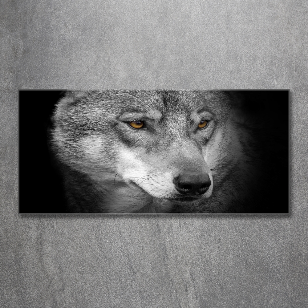 Tableau photo sur verre Loup