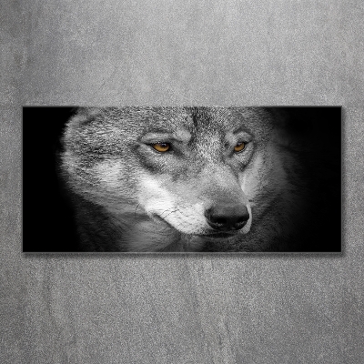 Tableau photo sur verre Loup