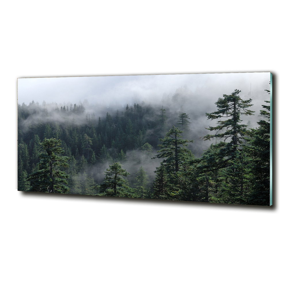 Tableau verre imprimé Brume de forêt