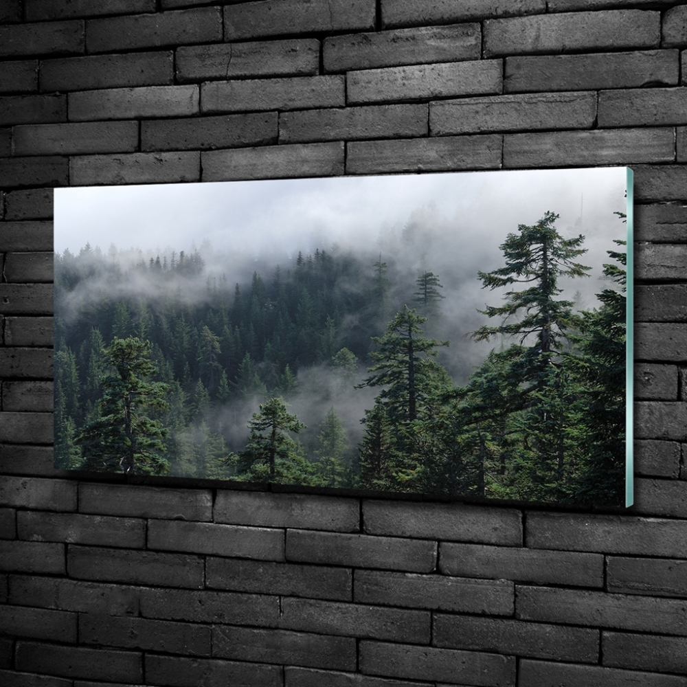 Tableau verre imprimé Brume de forêt