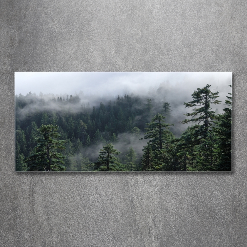 Tableau verre imprimé Brume de forêt