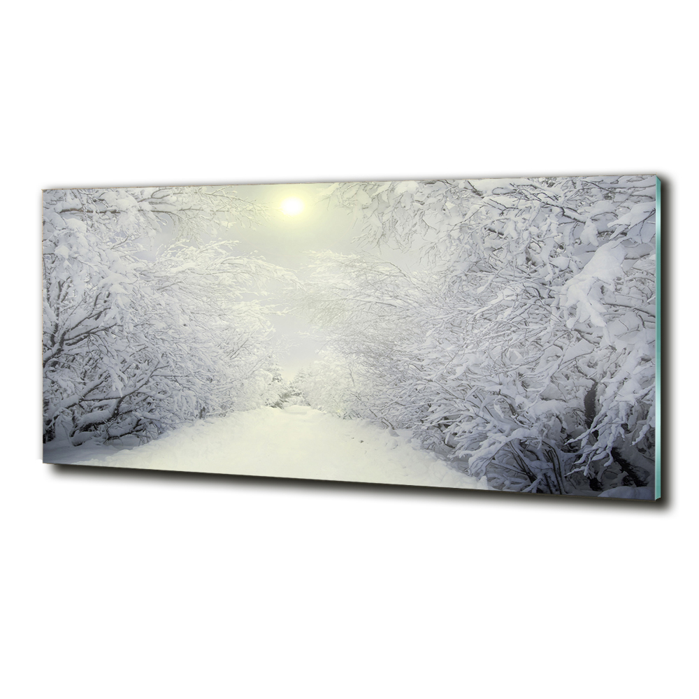 Tableau verre imprimé Belle forêt en hiver