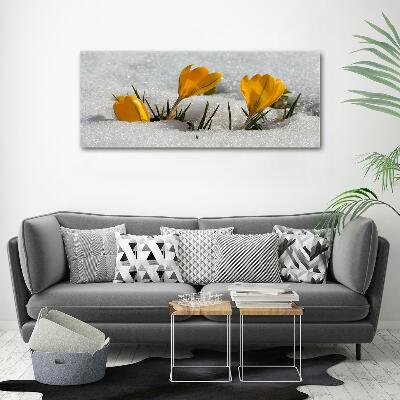 Tableau photo sur verre Crocus dans la neige