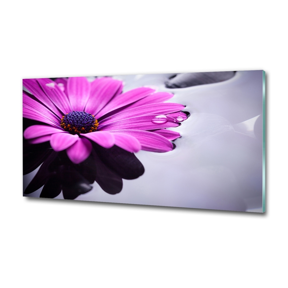 Tableau photo sur verre Gerbera