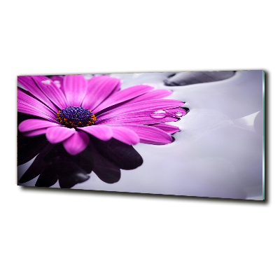 Tableau photo sur verre Gerbera