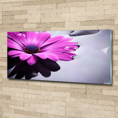 Tableau photo sur verre Gerbera