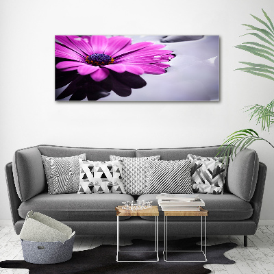 Tableau photo sur verre Gerbera