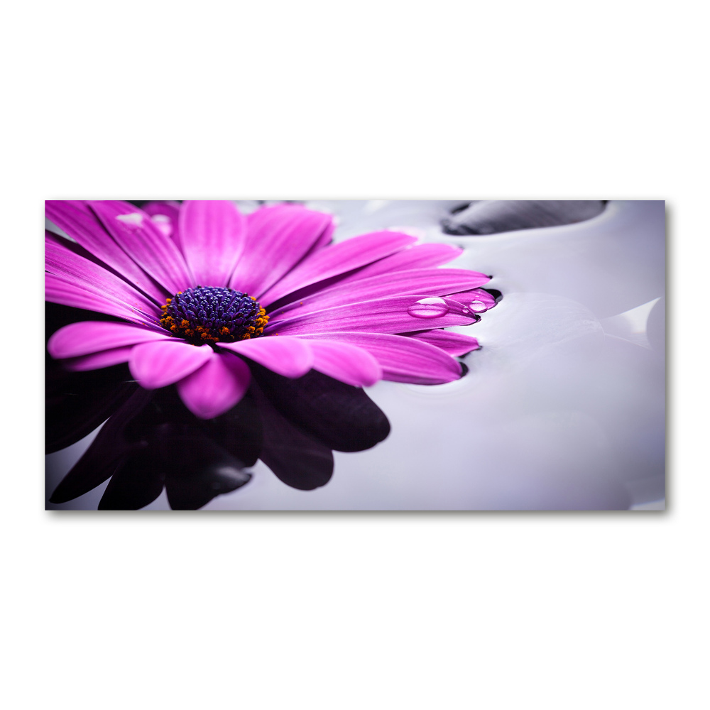 Tableau photo sur verre Gerbera