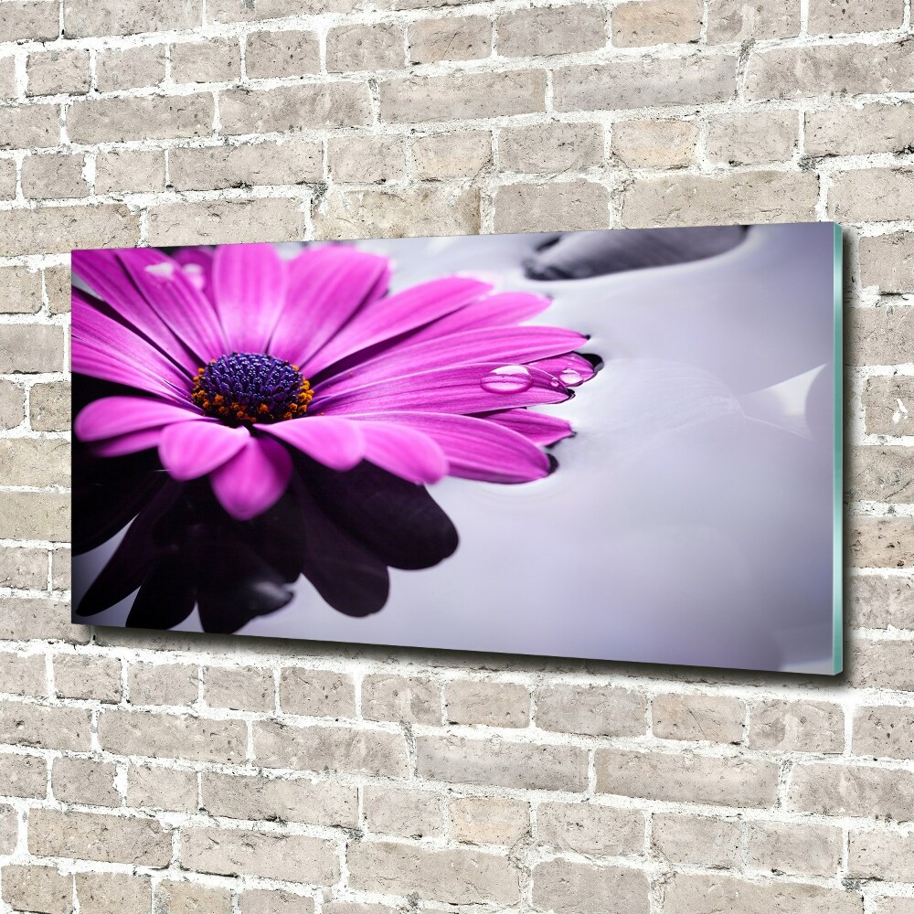 Tableau photo sur verre Gerbera