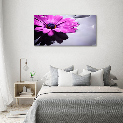 Tableau photo sur verre Gerbera