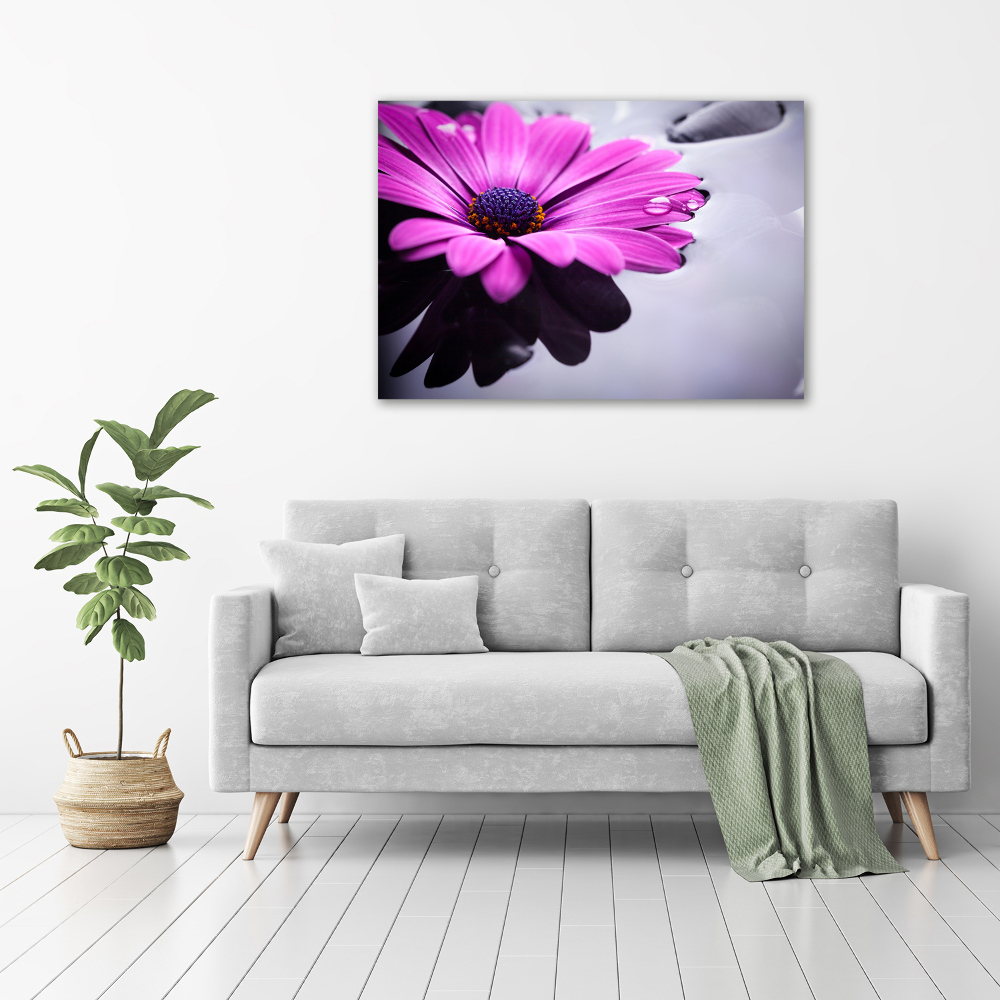 Tableau photo sur verre Gerbera