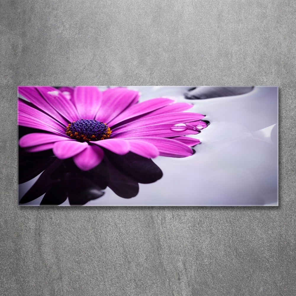 Tableau photo sur verre Gerbera