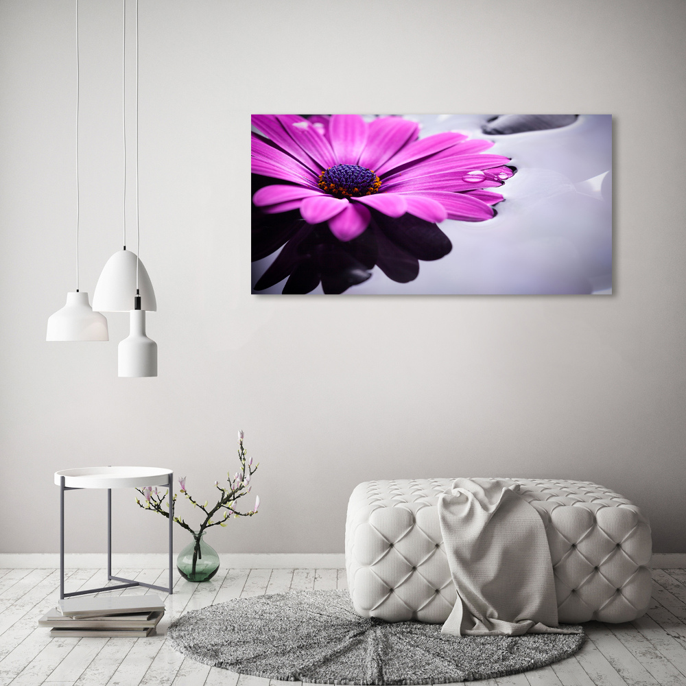 Tableau photo sur verre Gerbera