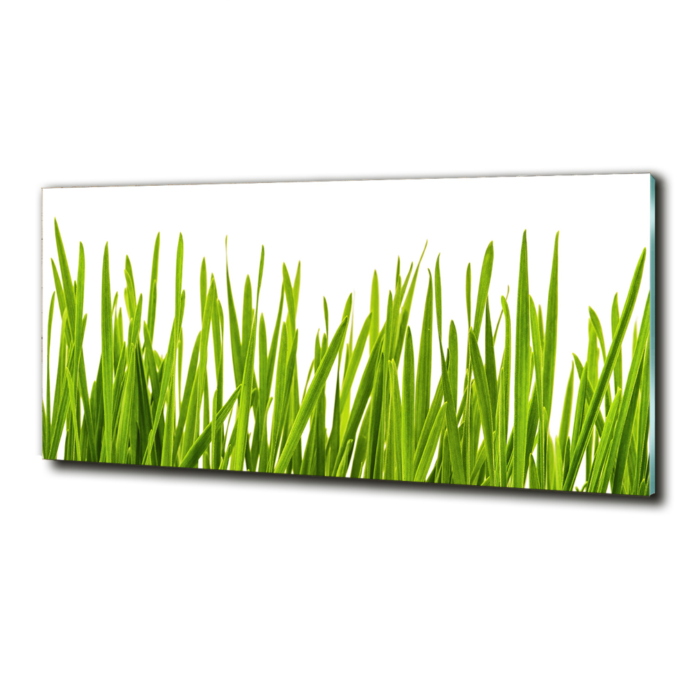 Tableau imprimé sur verre L'herbe