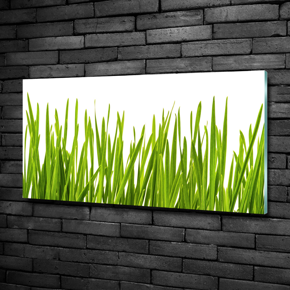 Tableau imprimé sur verre L'herbe