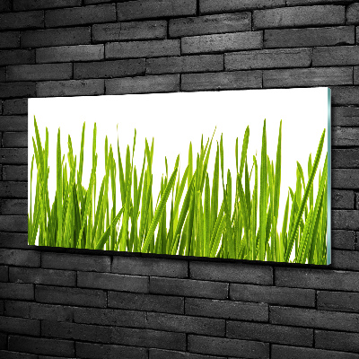 Tableau imprimé sur verre L'herbe