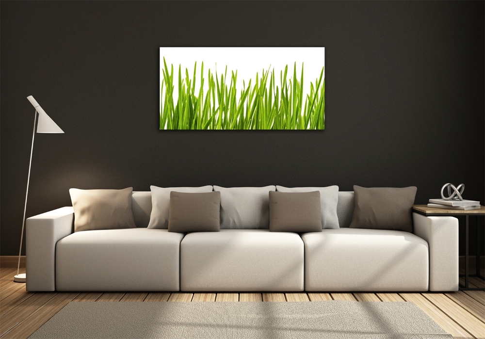 Tableau imprimé sur verre L'herbe