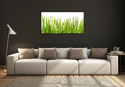 Tableau imprimé sur verre L'herbe