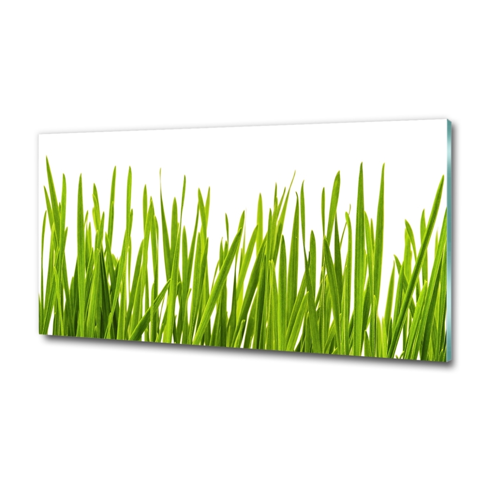 Tableau imprimé sur verre L'herbe